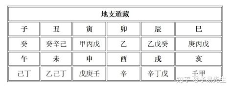 支藏天干|十二地支藏干解说 – 地支藏干原理解密